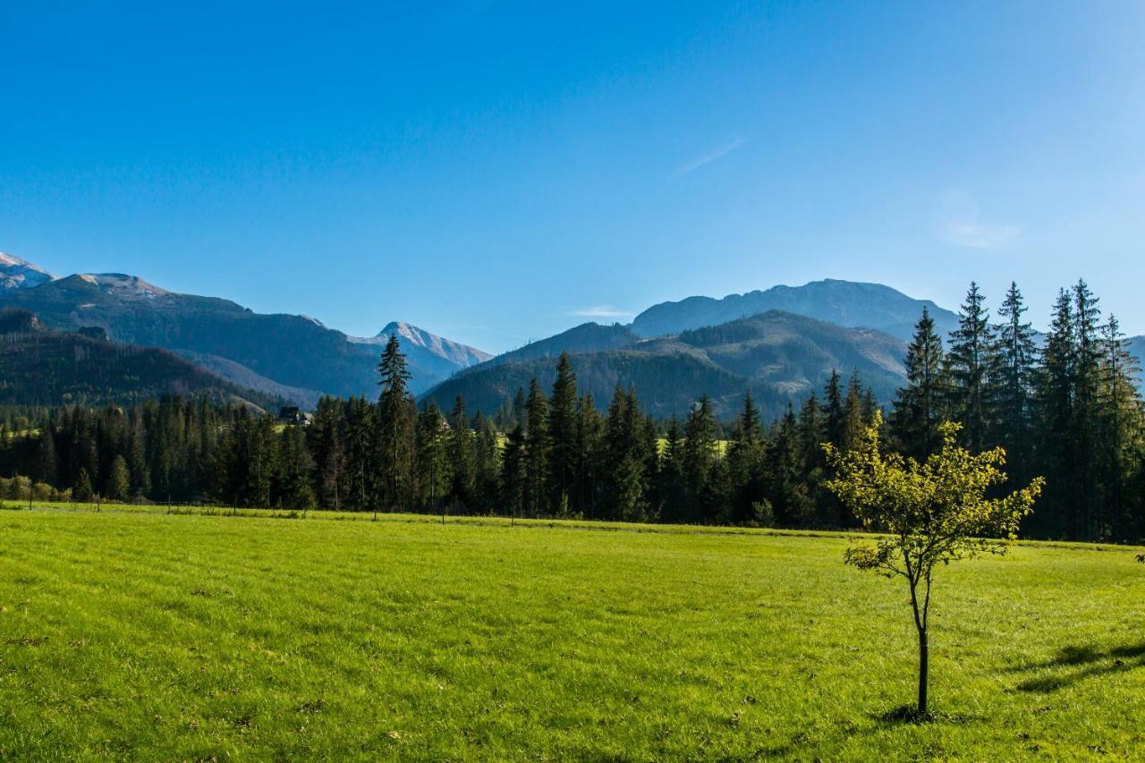 Udanypobyt Apartamenty Przy Lesie 2 Косьцелісько Екстер'єр фото